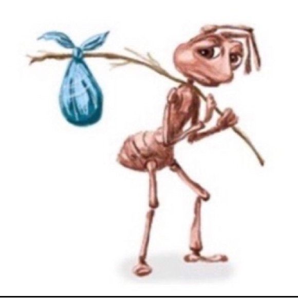 Meet your Posher, Sam the - Picture 1 of 1